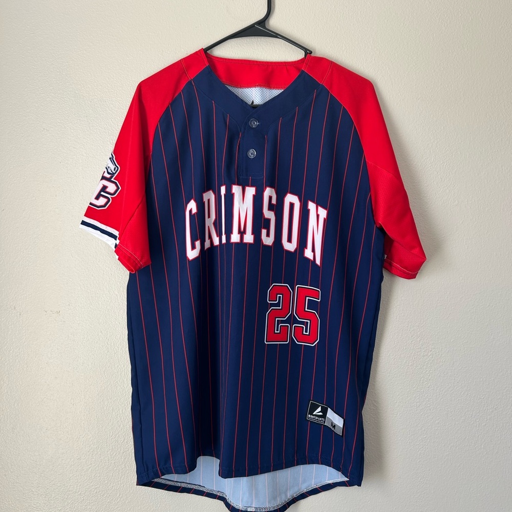 Crimson Navy Pinstripe Baseball Jersey with Red Sleeves